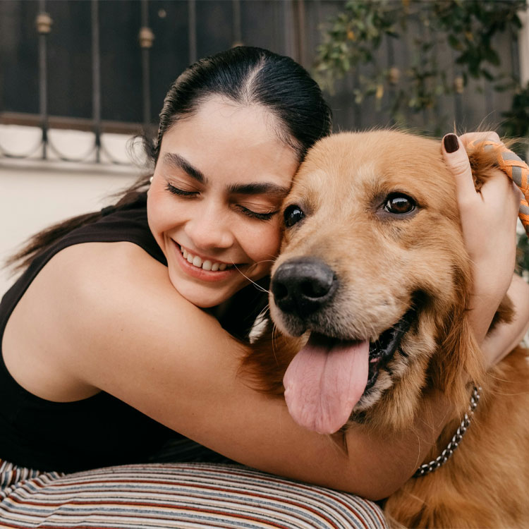 A Golden Retriever is hugged by its owner