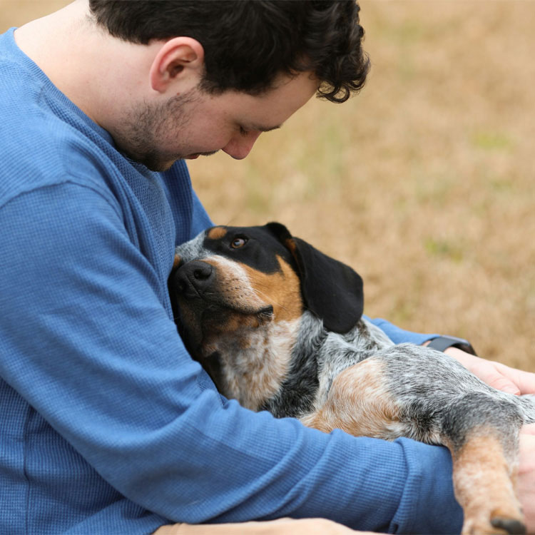 A dog lying on its owners lap.